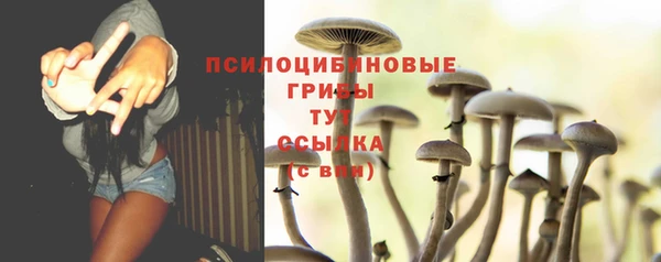 mdpv Балахна